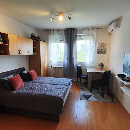Apartman 64 - Besplatan Parking Za Goste Novi Sad Eksteriør billede