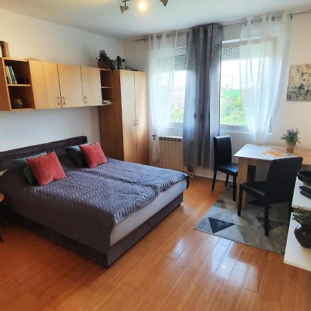 Apartman 64 - Besplatan Parking Za Goste Novi Sad Eksteriør billede