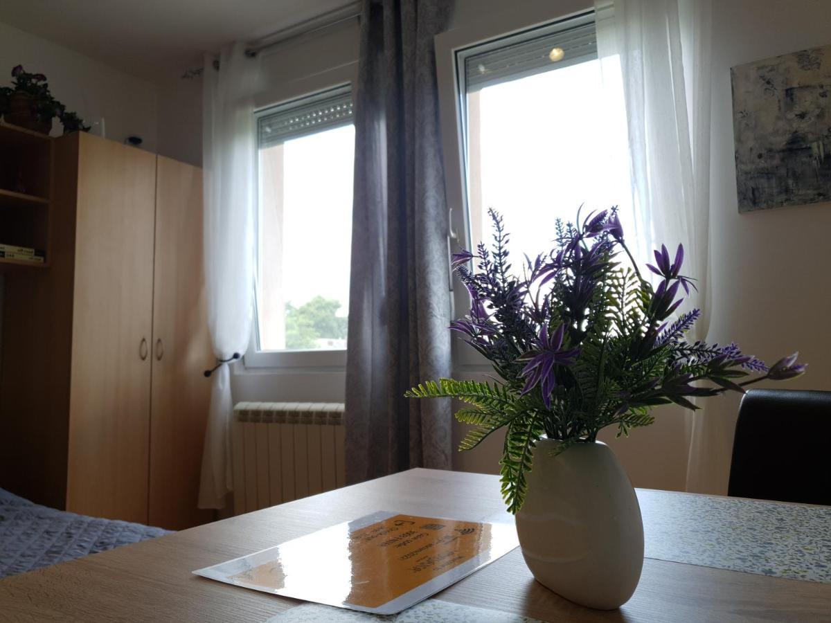 Apartman 64 - Besplatan Parking Za Goste Novi Sad Eksteriør billede