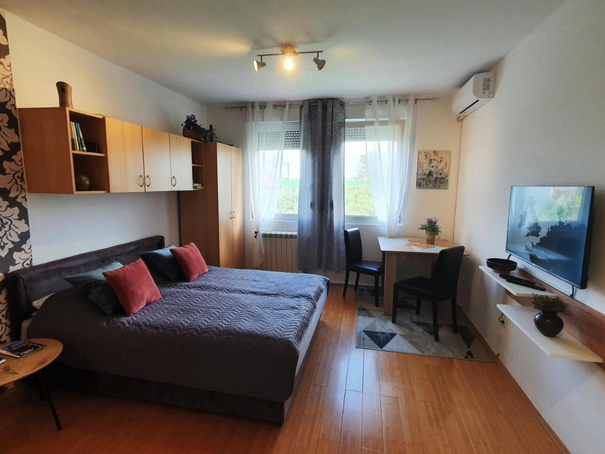 Apartman 64 - Besplatan Parking Za Goste Novi Sad Eksteriør billede